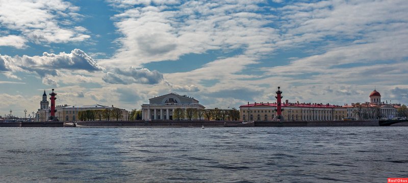 Стрелка Васильевского острова Санкт-Петербург вид спереди
