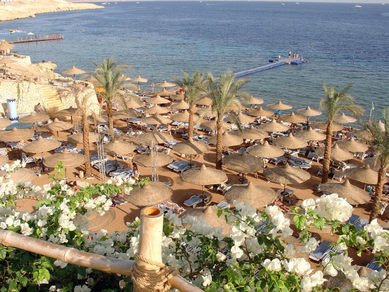 Синай Египет курорт