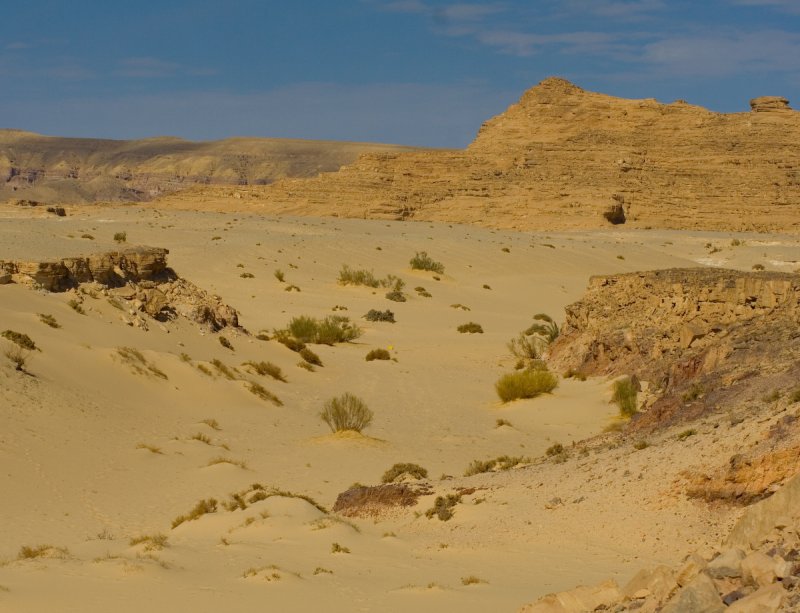 Нувейба Египет песчаники