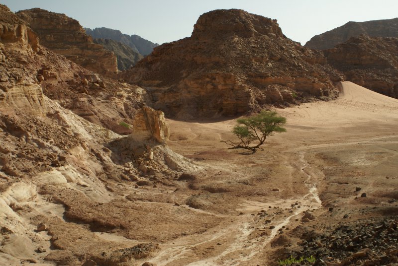 Sinai Peninsula
