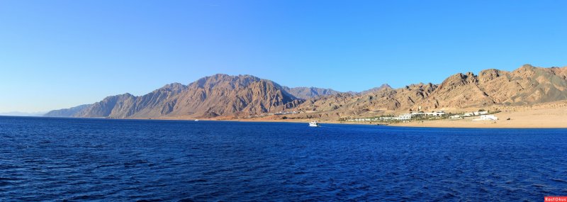 Синайский полуостров природа