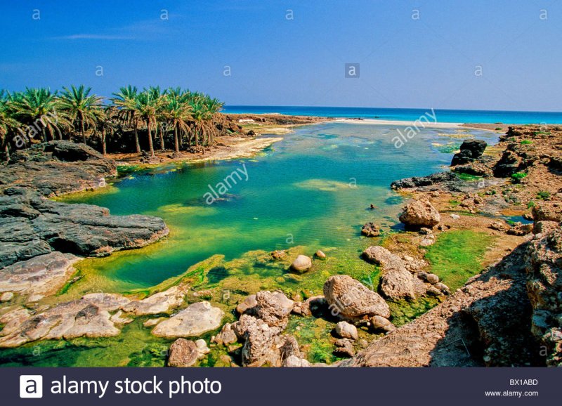Йеменский остров Сокотра