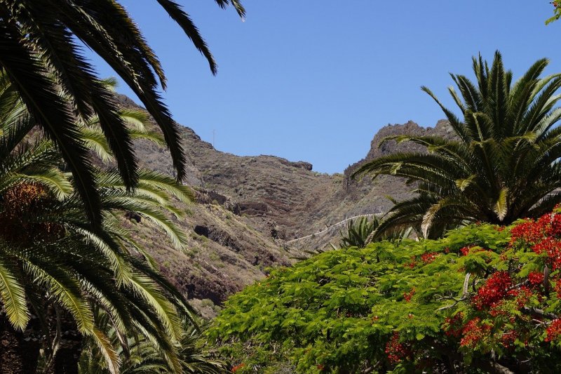 Канарские острова (Canary Islands)