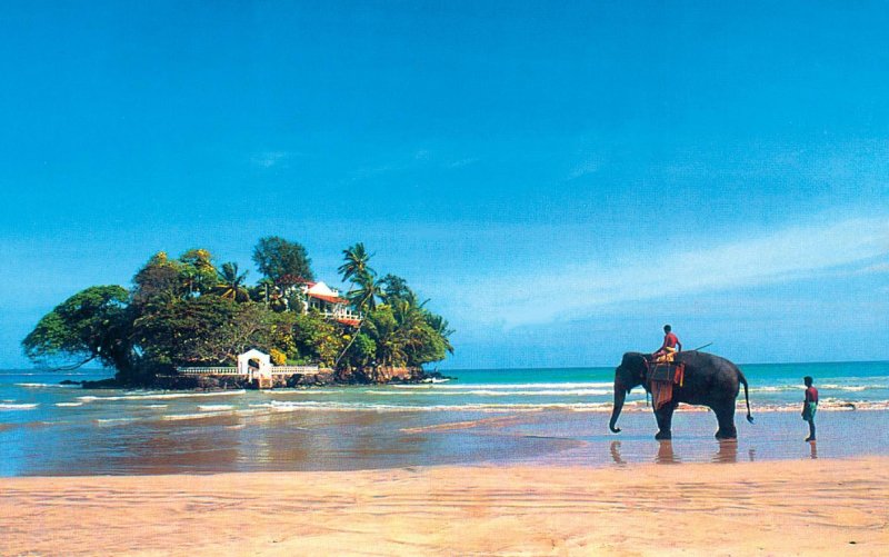 Taprobane Island Шри Ланка
