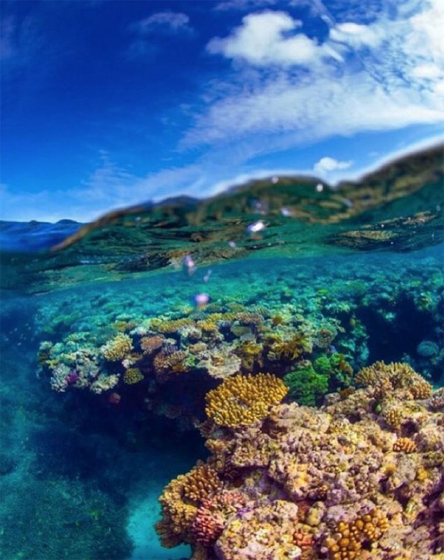 Большой риф в Австралии