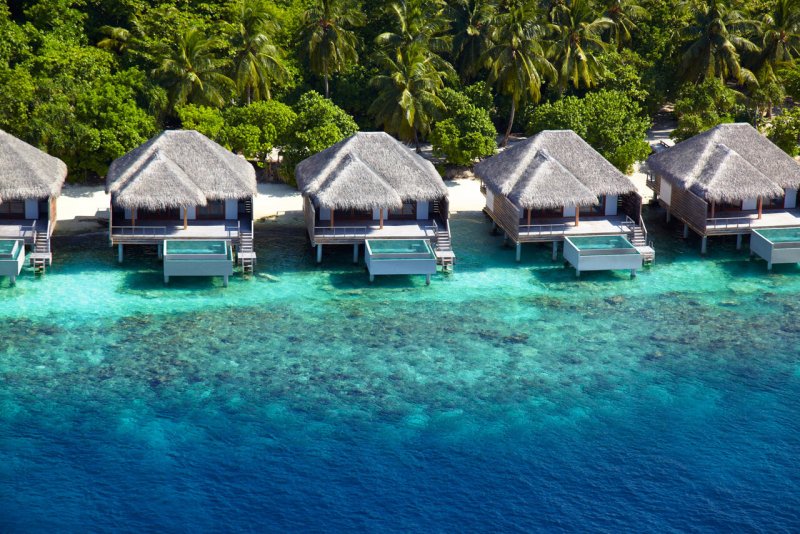 Природа Мальдивских островов