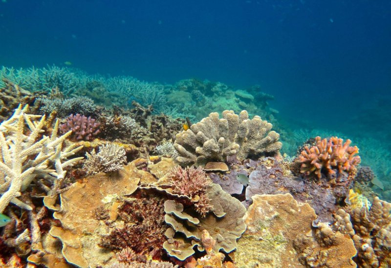 Морской национальный парк большого барьерного рифа