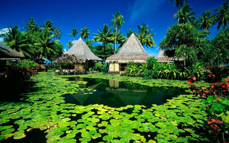 Остров Таити