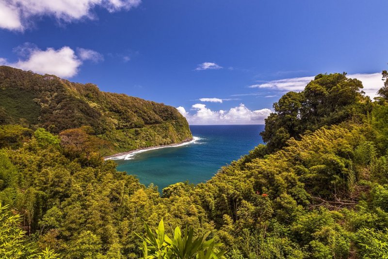 Остров Мауи природа