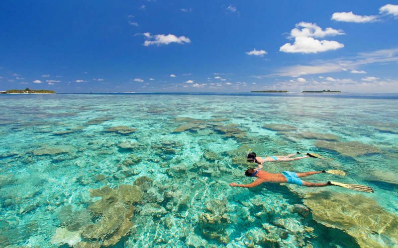 Snorkelling на Мальдивах