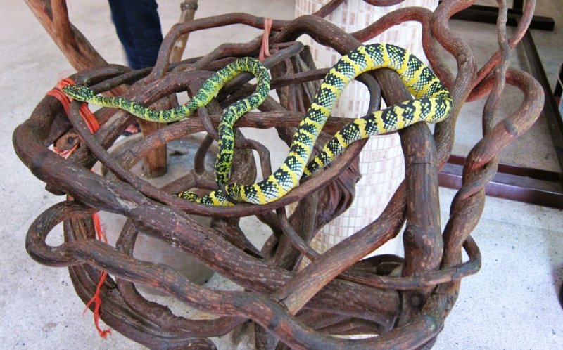 Остров Гуам остров змей