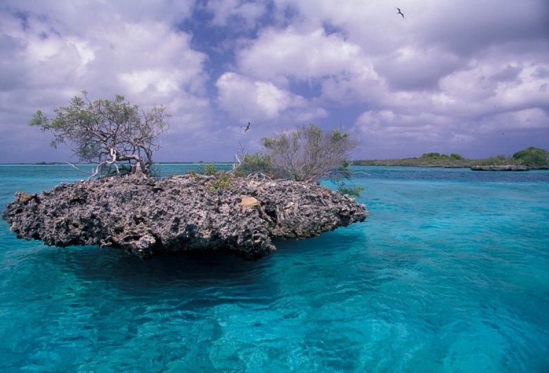 Сейшельские острова остров Альдабра