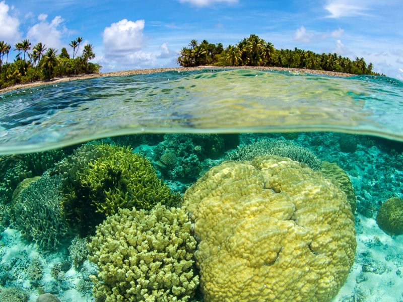Маршалловы острова кораллы