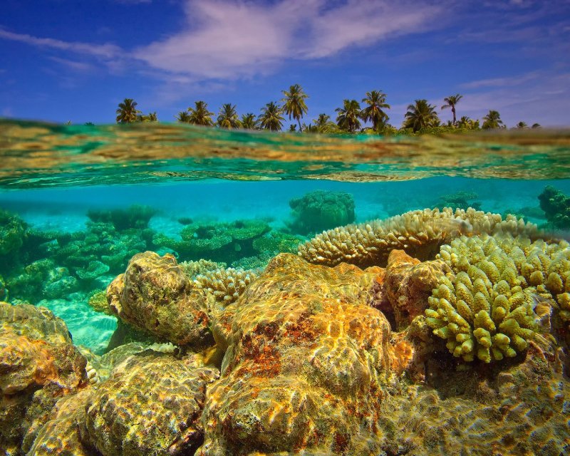 Индийский океан рифы