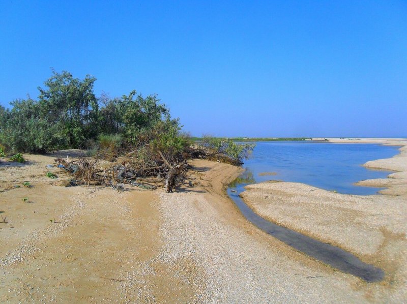 Песчаный берег реки Пшады