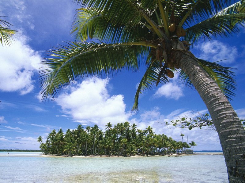 Пляж Туамоту, Атолл французская Полинезия