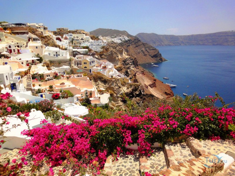 Греция остров Санторини цветы