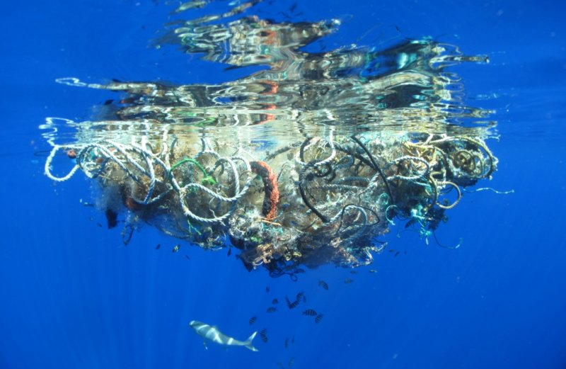 Большое Тихоокеанское мусорное пятно животные