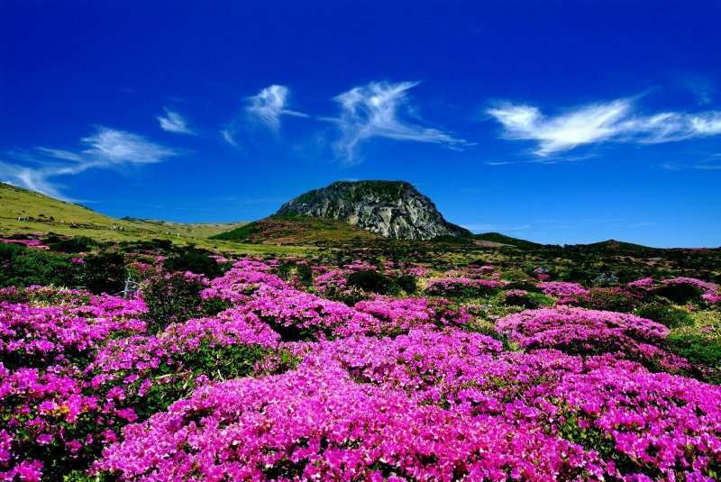 Национальный парк Халласан Южная Корея