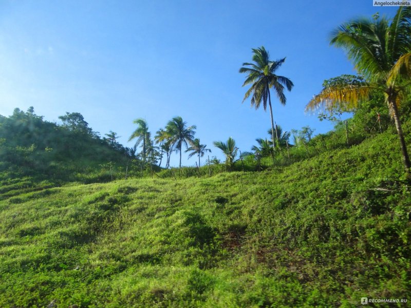 Остров самана Доминикана