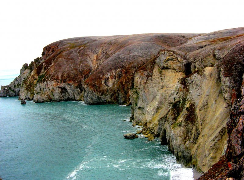 Остров Врангеля ЮНЕСКО