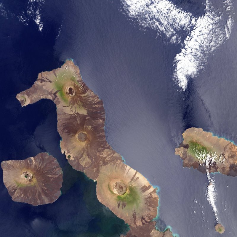 Остров Вольф Галапагосского архипелага.