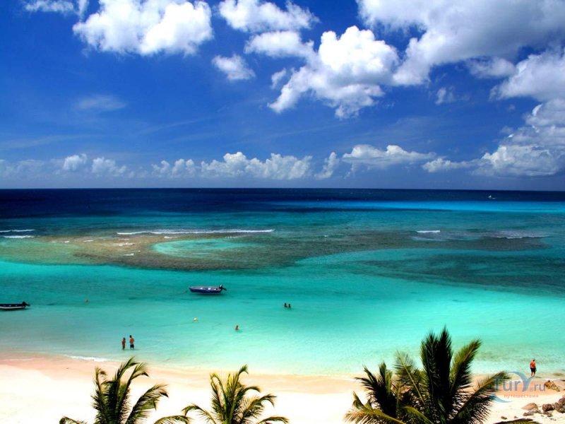 Карибы Барбадос