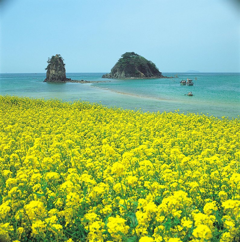 Остров Джеджу Корея