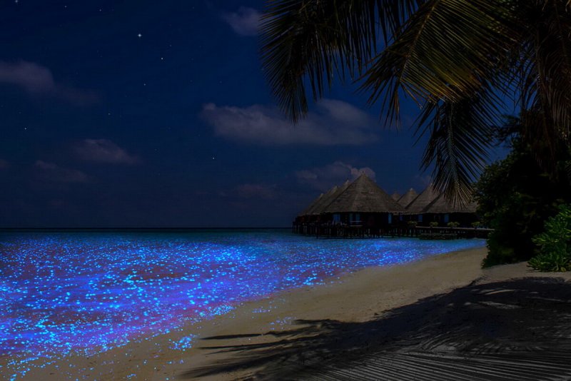 Светящийся остров на Мальдивах Ваадху