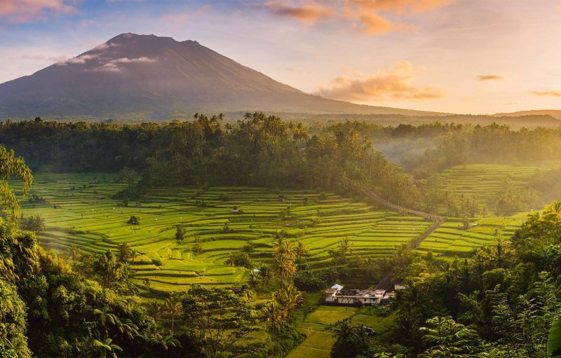 Бали Индонезия природа