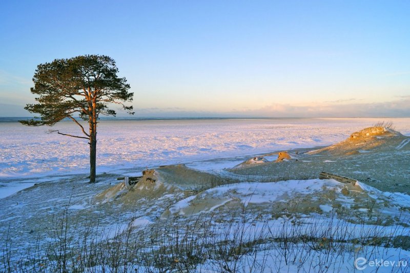 Белое море Северодвинск