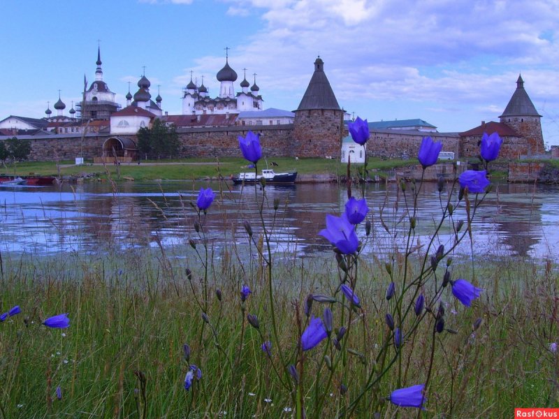 Заяцкий остров Соловки