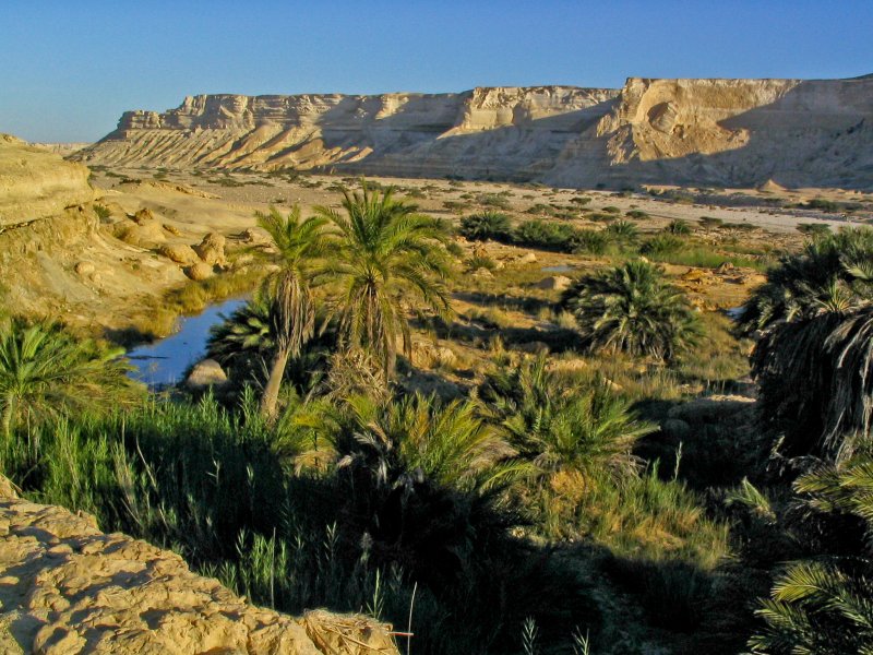 Пустыня Оман Оазис