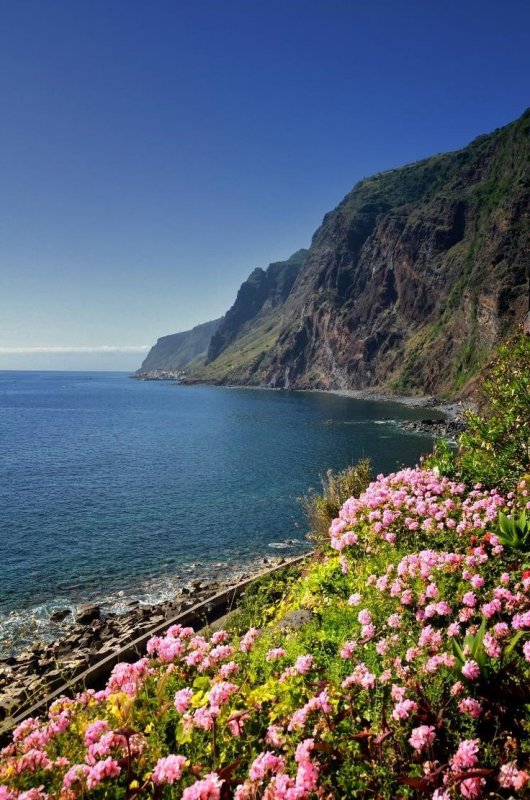Мадейра, острова Мадейра – Португалия