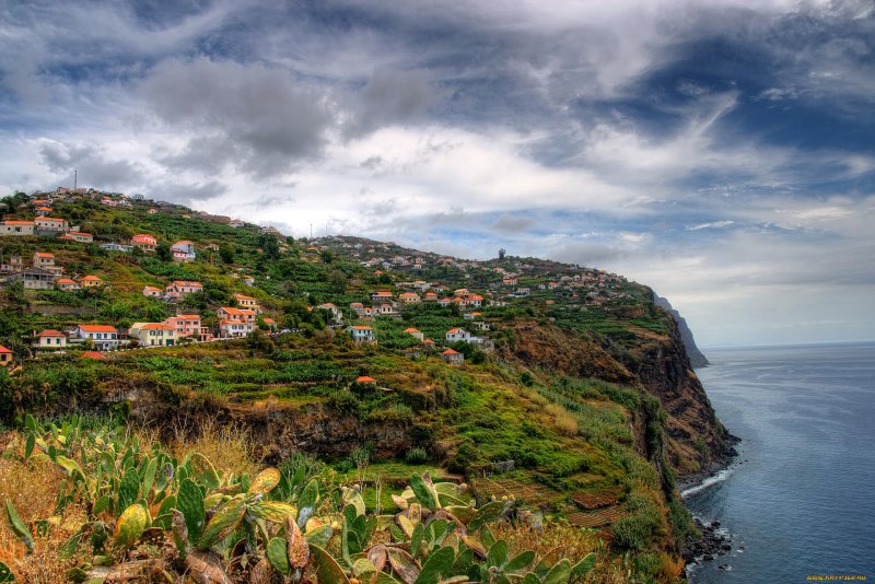 Мадейра Португалия природа