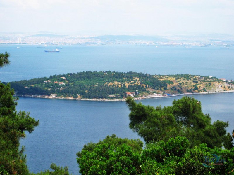 Принцевские острова Стамбул