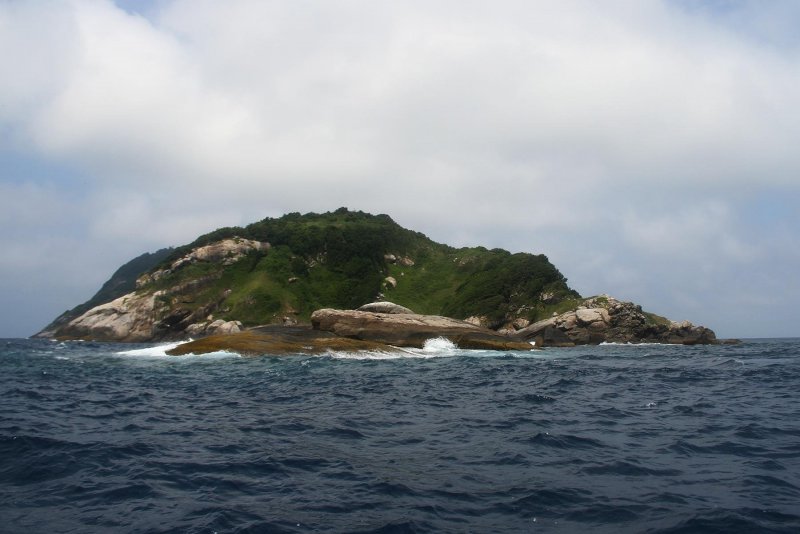 Змеиный остров (Snake Island), Бразилия