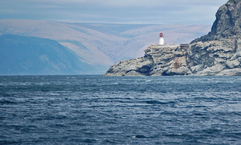 Остров ньюфаундленд фото