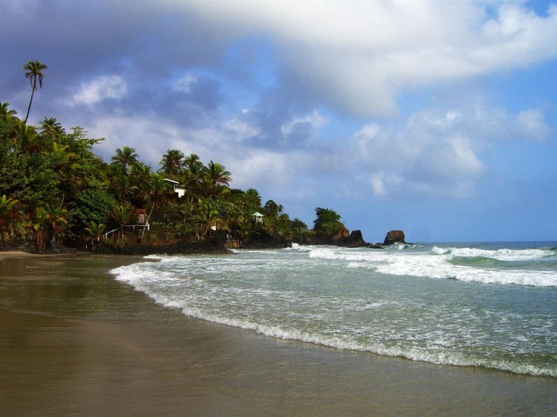 Карибы Тринидад