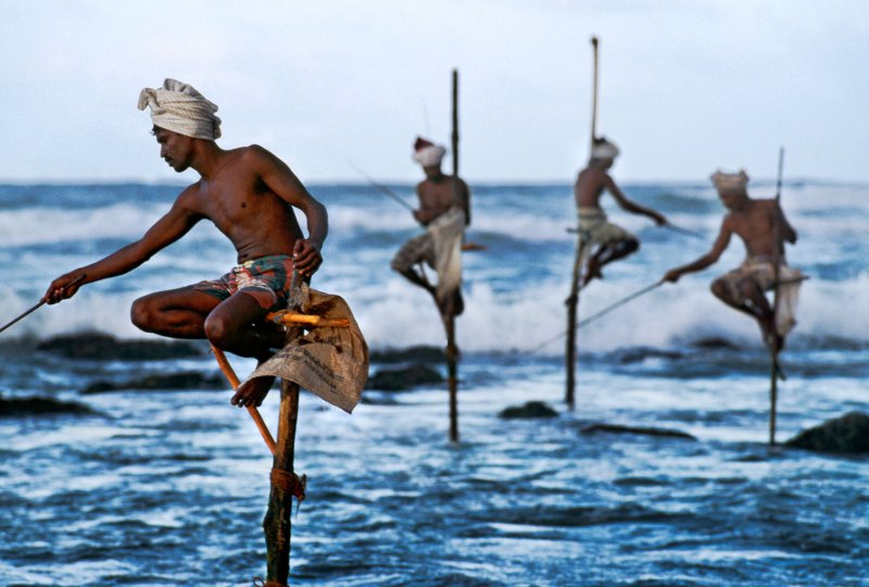 Шри Ланка рыбалка