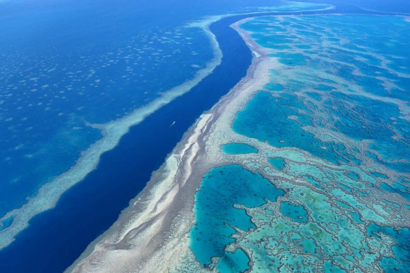 Большой Барьерный риф (ББР). Австралия.