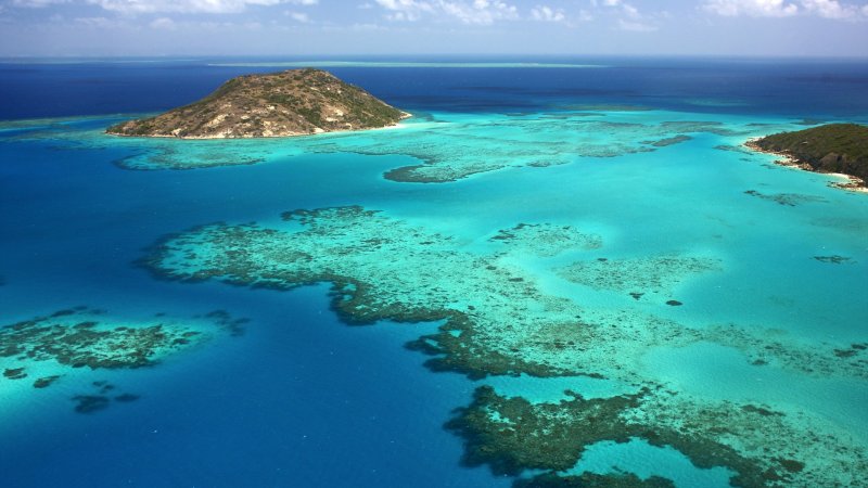 Барьерный риф Австралии кораллы