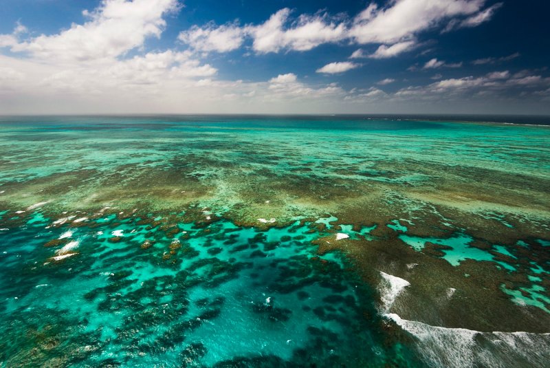 Природа Австралии большой Барьерный риф