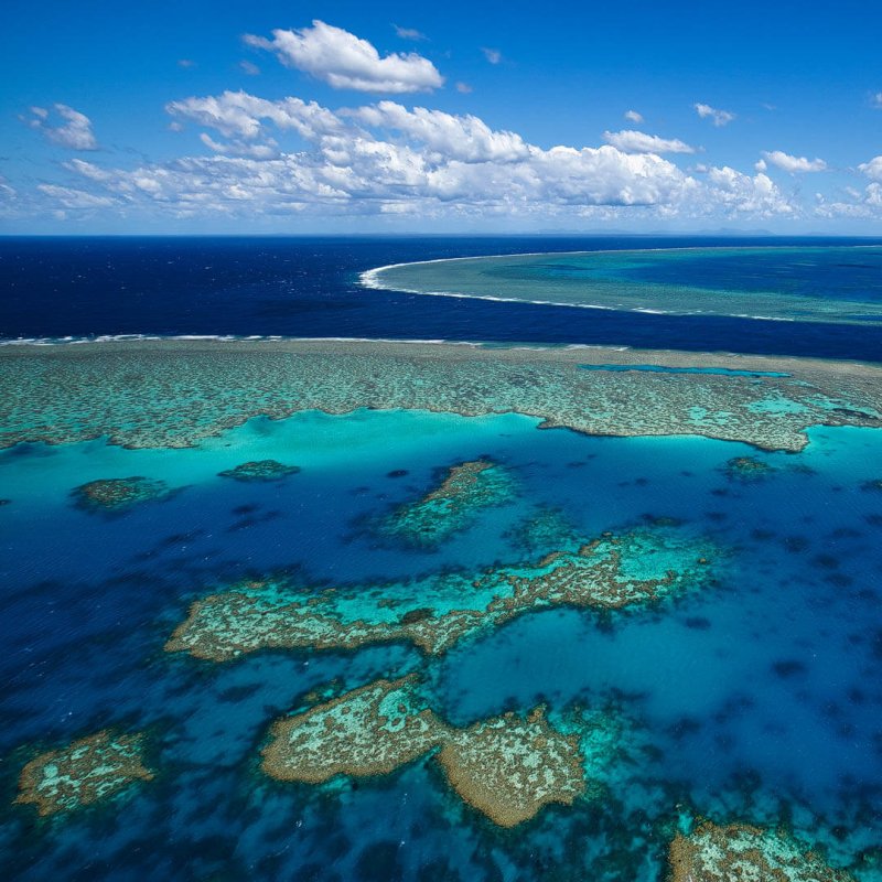Большой Барьерный риф в Австралии 4k
