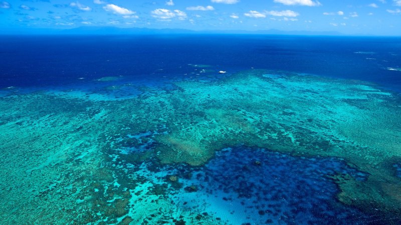 Великий Барьерный риф