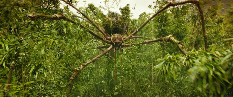 Самый при самый большой паук в мире