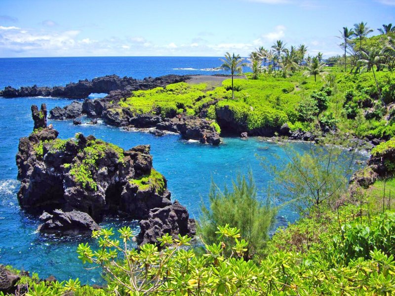 Берег Гавайи Мауи торпеда
