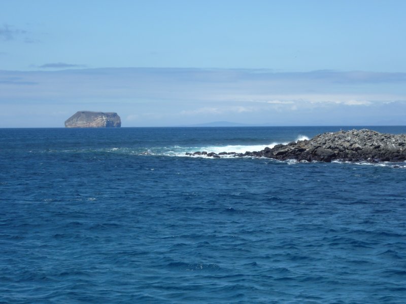 North Seymour Galapagos