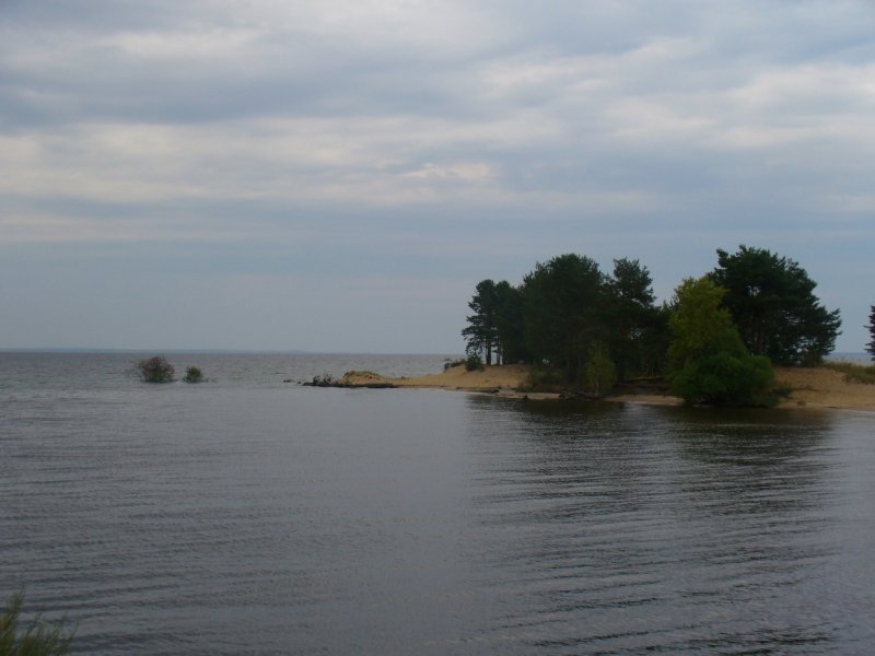 Пальцинский остров Ульяновск