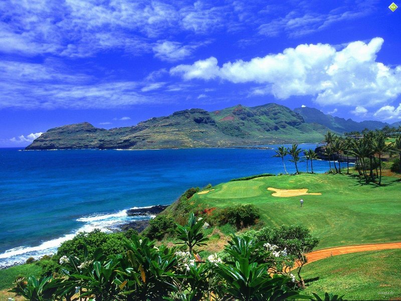Природа Гавайских островов